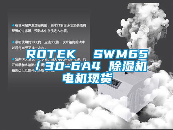 ROTEK  SWM65／30-6A4 除湿机电机现货