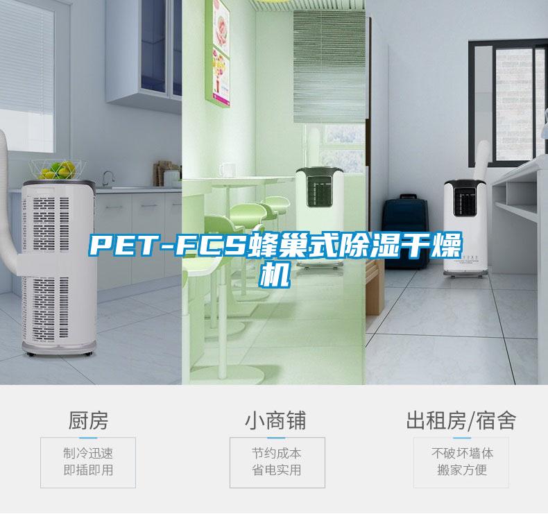 PET-FCS蜂巢式除湿干燥机