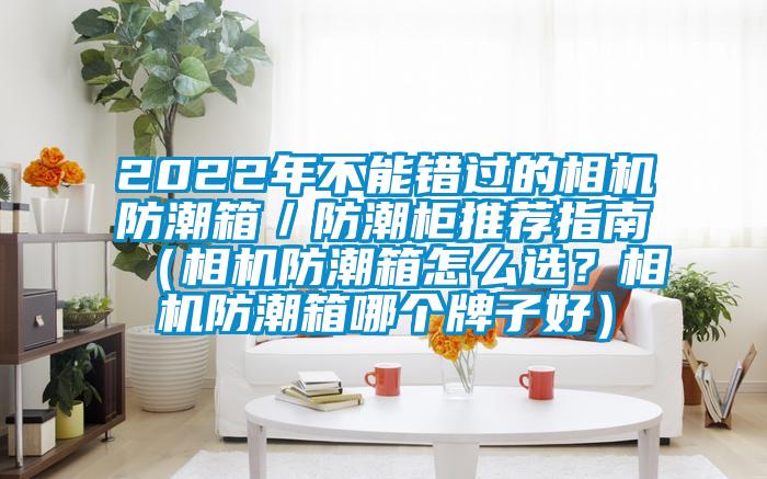 2022年不能错过的相机防潮箱／防潮柜推荐指南（相机防潮箱怎么选？相机防潮箱哪个牌子好）