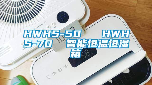 HWHS-50   HWHS-70  智能恒温恒湿箱