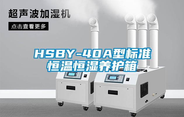 HSBY-40A型标准恒温恒湿养护箱