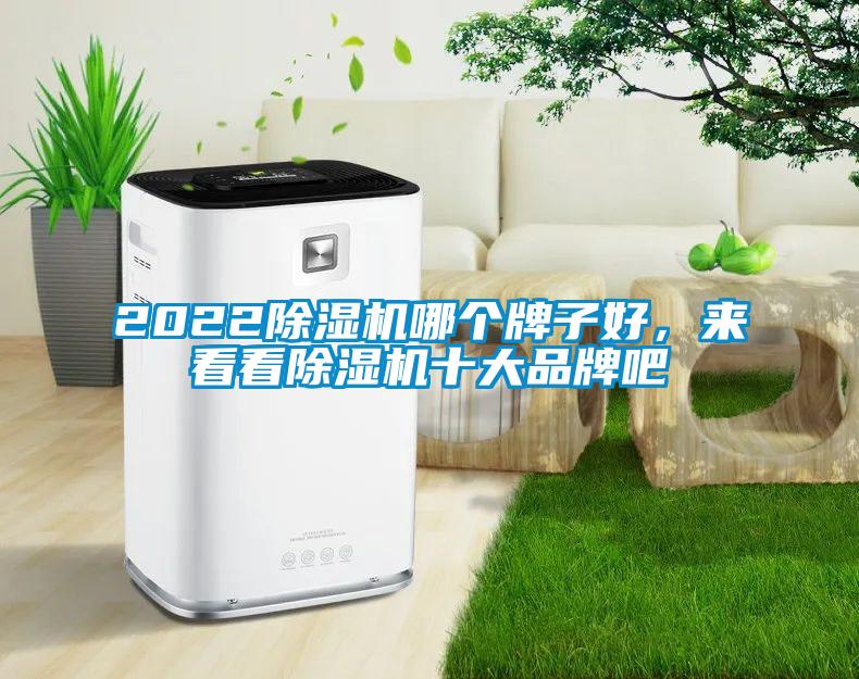 2022除湿机哪个牌子好，来看看除湿机十大品牌吧