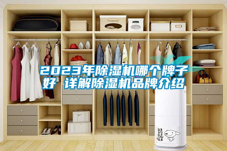 2023年除湿机哪个牌子好 详解除湿机品牌介绍