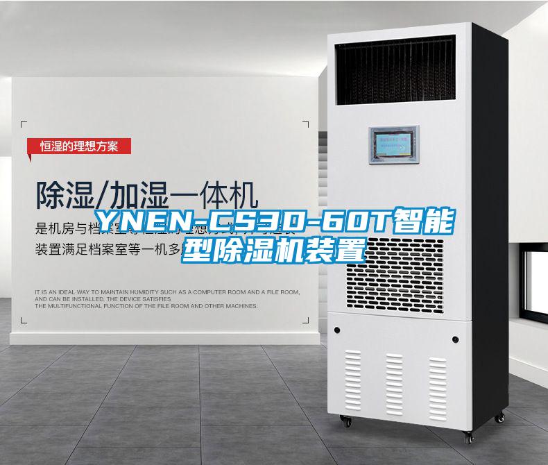 YNEN-CS3D-60T智能型除湿机装置