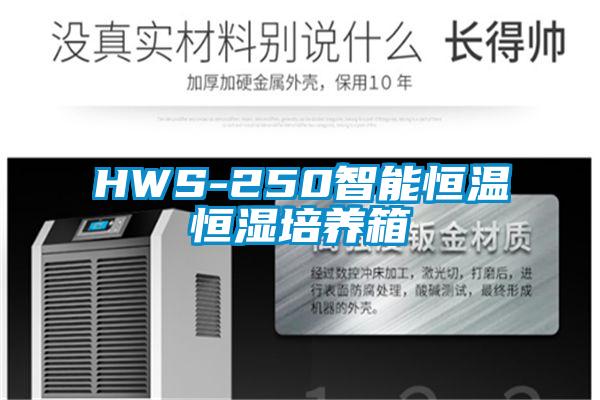 HWS-250智能恒温恒湿培养箱