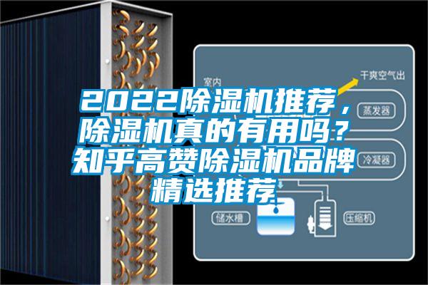 2022除湿机推荐，除湿机真的有用吗？知乎高赞除湿机品牌精选推荐