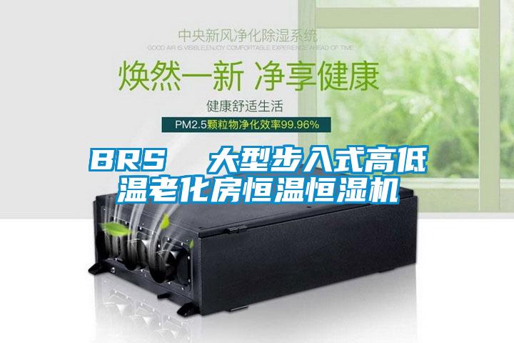 BRS  大型步入式高低温老化房恒温恒湿机