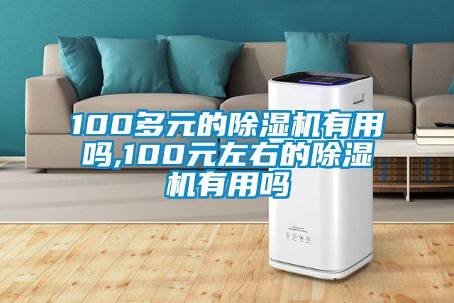 100多元的除湿机有用吗,100元左右的除湿机有用吗