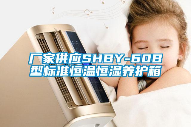 厂家供应SHBY-60B型标准恒温恒湿养护箱