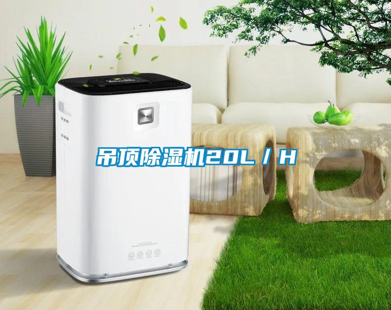 吊顶除湿机20L／H