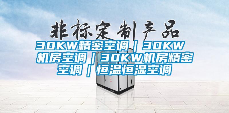 30KW精密空调｜30KW 机房空调｜30KW机房精密空调｜恒温恒湿空调