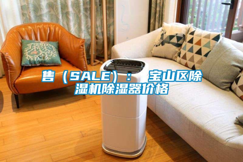 售（SALE）： 宝山区除湿机除湿器价格