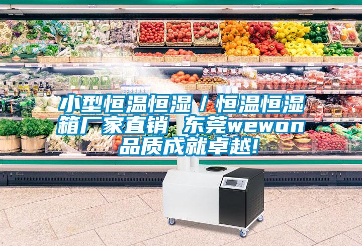 小型恒温恒湿／恒温恒湿箱厂家直销 东莞wewon 品质成就卓越!