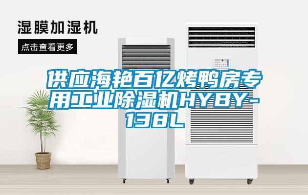 供应海艳百亿烤鸭房专用工业除湿机HYBY-138L