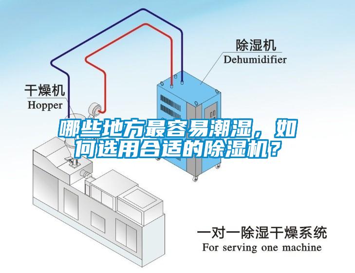 哪些地方最容易潮湿，如何选用合适的除湿机？