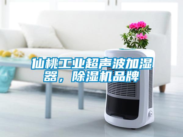 仙桃工业超声波加湿器，除湿机品牌