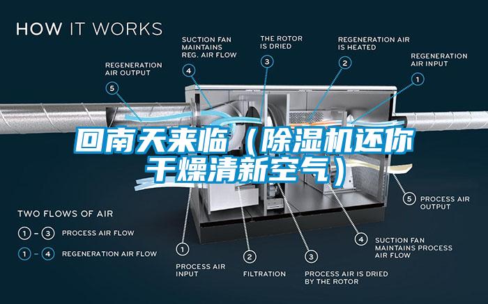 回南天来临（除湿机还你干燥清新空气）