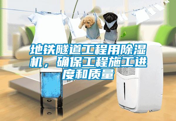 地铁隧道工程用除湿机，确保工程施工进度和质量