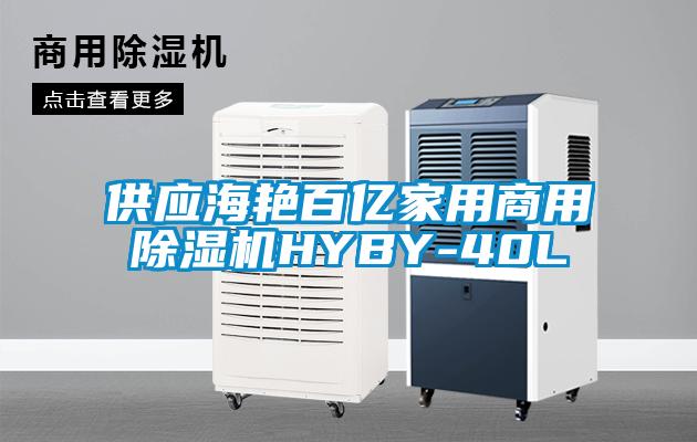 供应海艳百亿家用华体会牵手曼联俱乐部
HYBY-40L