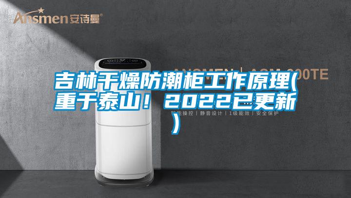 吉林干燥防潮柜工作原理(重于泰山！2022已更新)