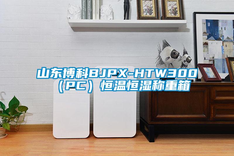 山东博科BJPX-HTW300（PC）恒温恒湿称重箱