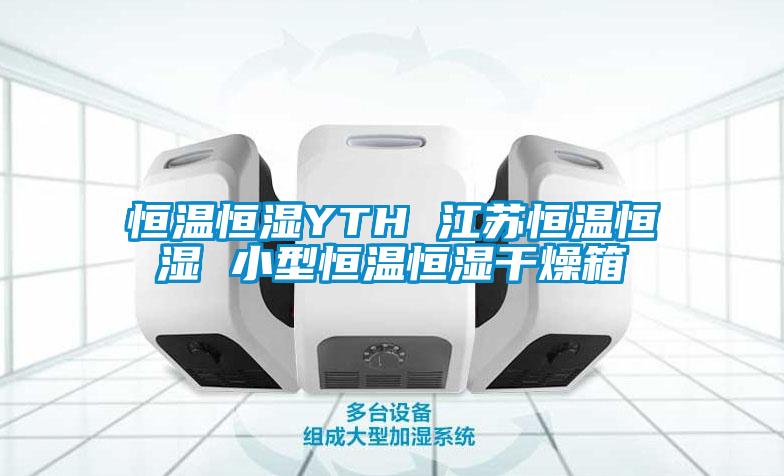 恒温恒湿YTH 江苏恒温恒湿 小型恒温恒湿干燥箱