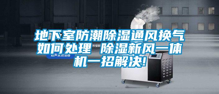 地下室防潮除湿通风换气如何处理 除湿新风一体机一招解决!