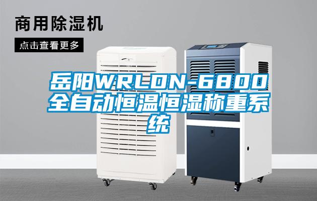 岳阳WRLDN-6800全自动恒温恒湿称重系统