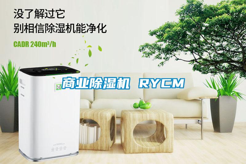 商业除湿机 RYCM