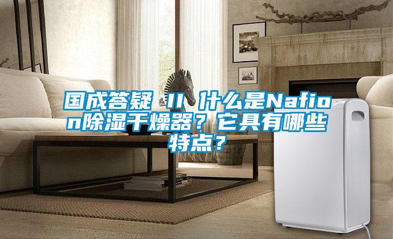 国成答疑 II 什么是Nafion除湿干燥器？它具有哪些特点？