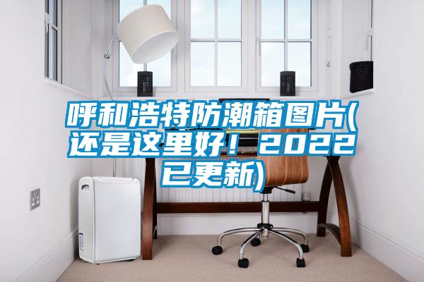 呼和浩特防潮箱图片(还是这里好！2022已更新)