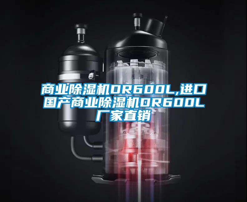 商业除湿机DR600L,进口国产商业除湿机DR600L厂家直销