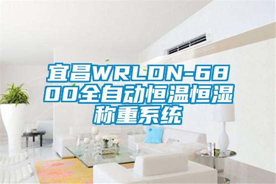 宜昌WRLDN-6800全自动恒温恒湿称重系统