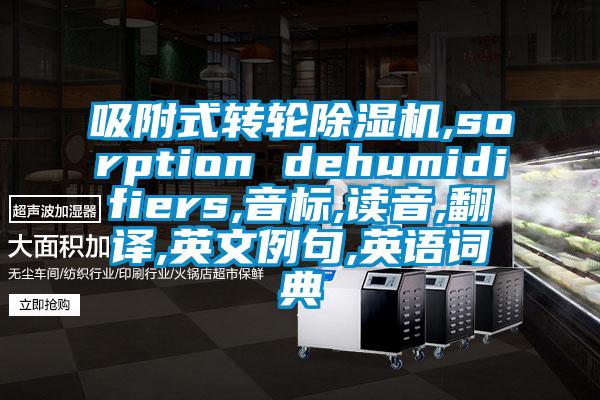 吸附式转轮除湿机,sorption dehumidifiers,音标,读音,翻译,英文例句,英语词典