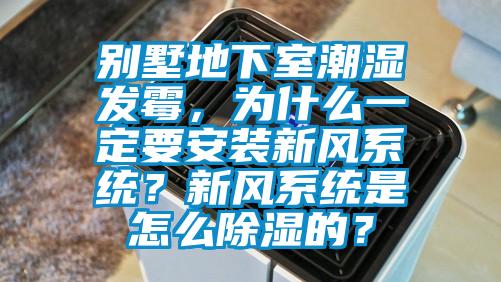 别墅地下室潮湿发霉，为什么一定要安装新风系统？新风系统是怎么除湿的？