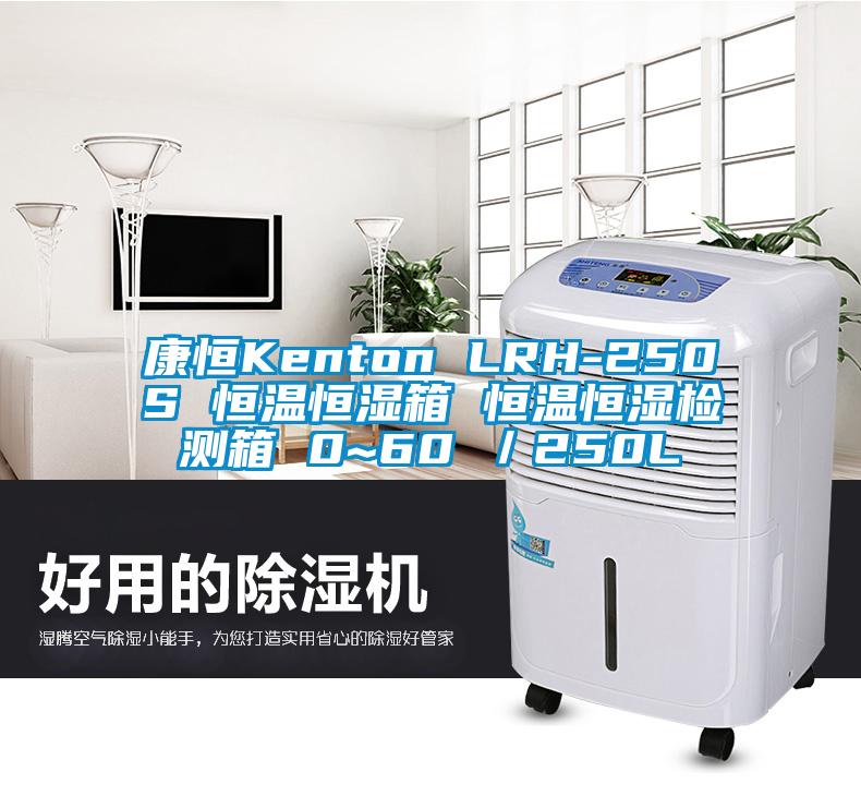 康恒Kenton LRH-250S 恒温恒湿箱 恒温恒湿检测箱 0~60℃／250L