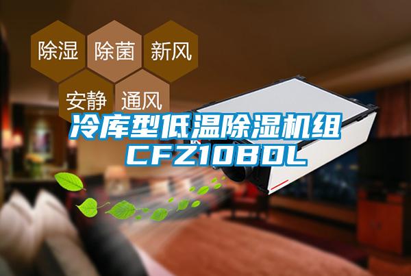 冷库型低温除湿机组 CFZ10BDL