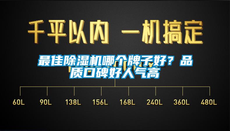 最佳除湿机哪个牌子好？品质口碑好人气高