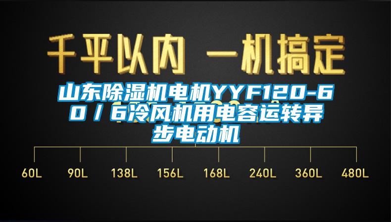 山东除湿机电机YYF120-60／6冷风机用电容运转异步电动机