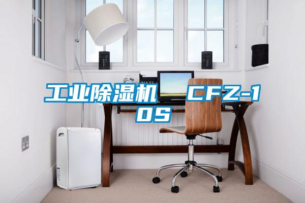 工业除湿机  CFZ-10S