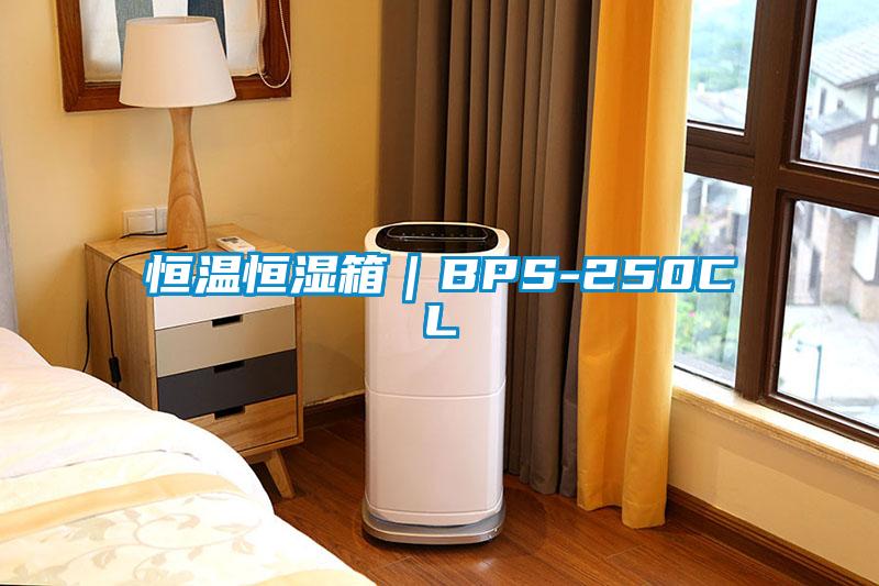 恒温恒湿箱｜BPS-250CL