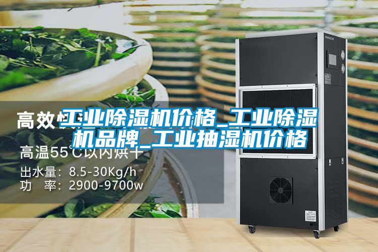 工业除湿机价格_工业除湿机品牌_工业抽湿机价格