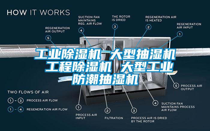 工业除湿机 大型抽湿机 工程除湿机 大型工业防潮抽湿机