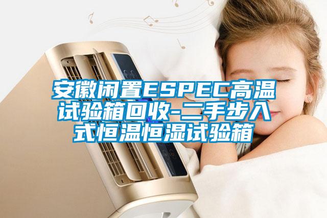 安徽闲置ESPEC高温试验箱回收-二手步入式恒温恒湿试验箱