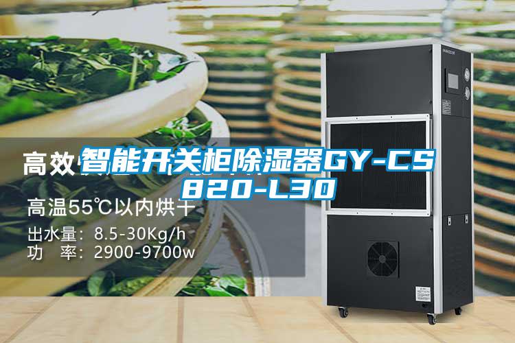 智能开关柜除湿器GY-CS820-L30