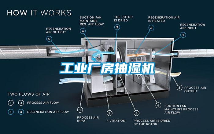 工业厂房抽湿机