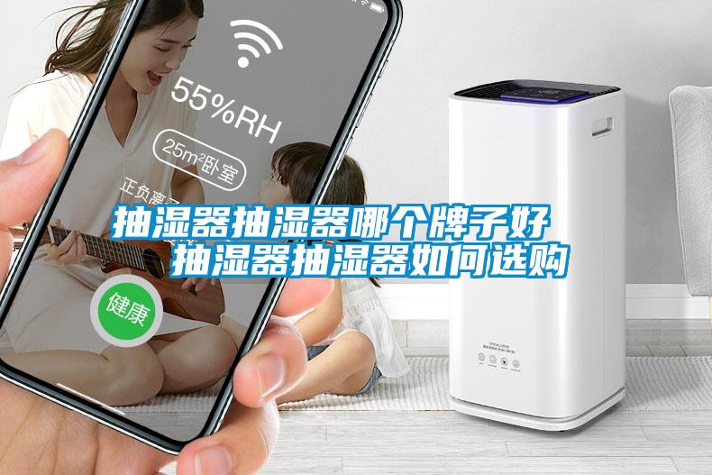 抽湿器抽湿器哪个牌子好   抽湿器抽湿器如何选购