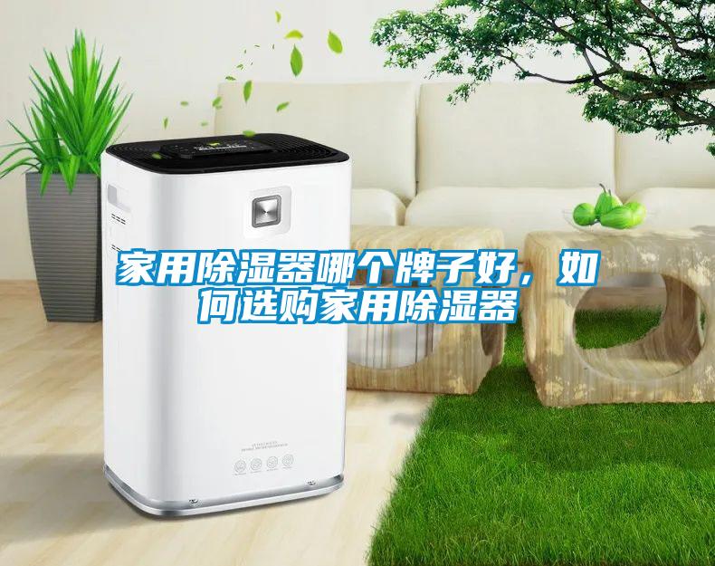 家用除湿器哪个牌子好，如何选购家用除湿器