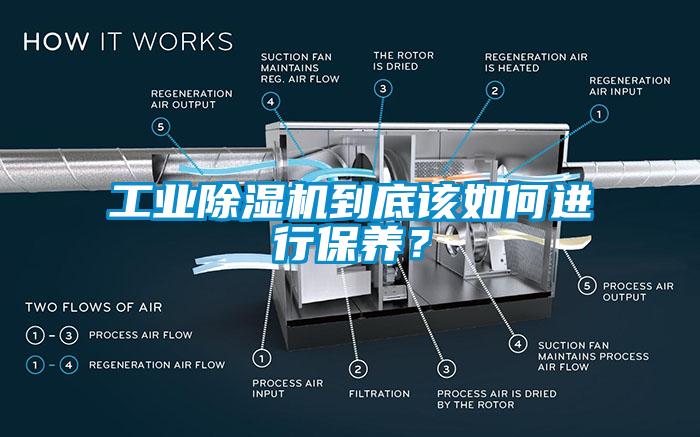 工业除湿机到底该如何进行保养？