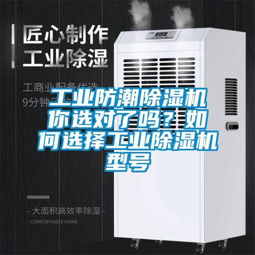 工业防潮除湿机你选对了吗？如何选择工业除湿机型号